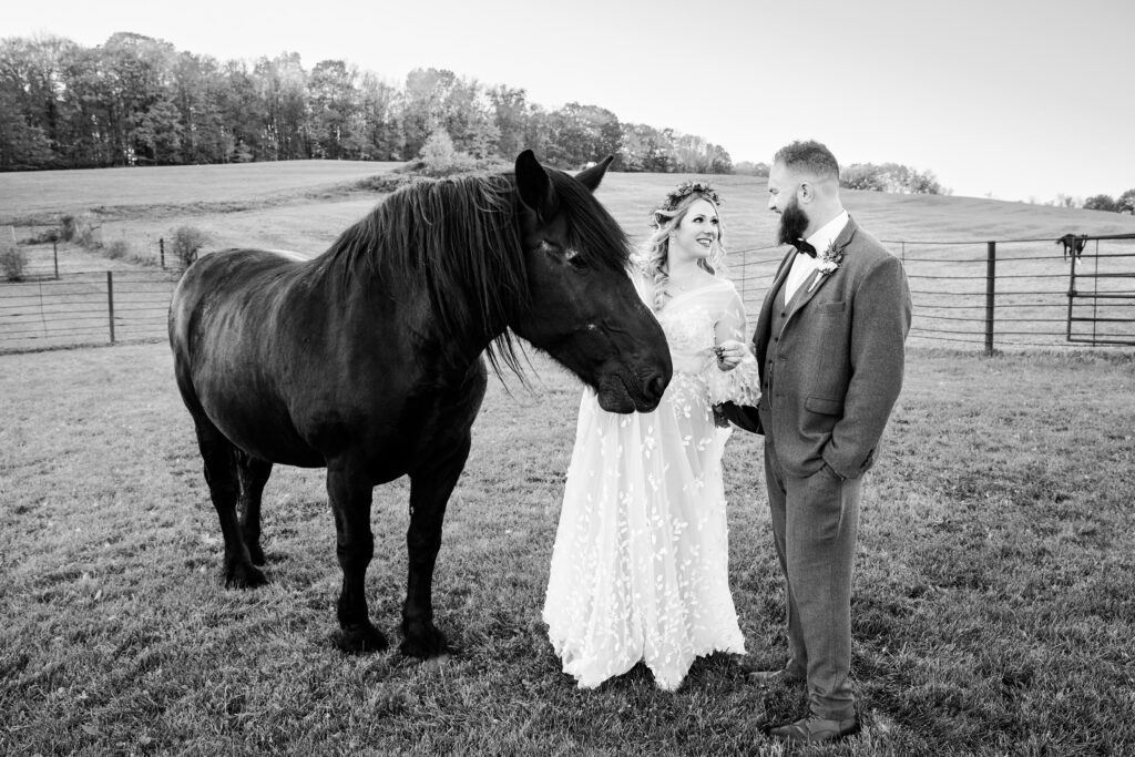 Bride and groom from a fall barn wedding at Lakota's Farm by albany ny photographer Caitlin Miller Photography